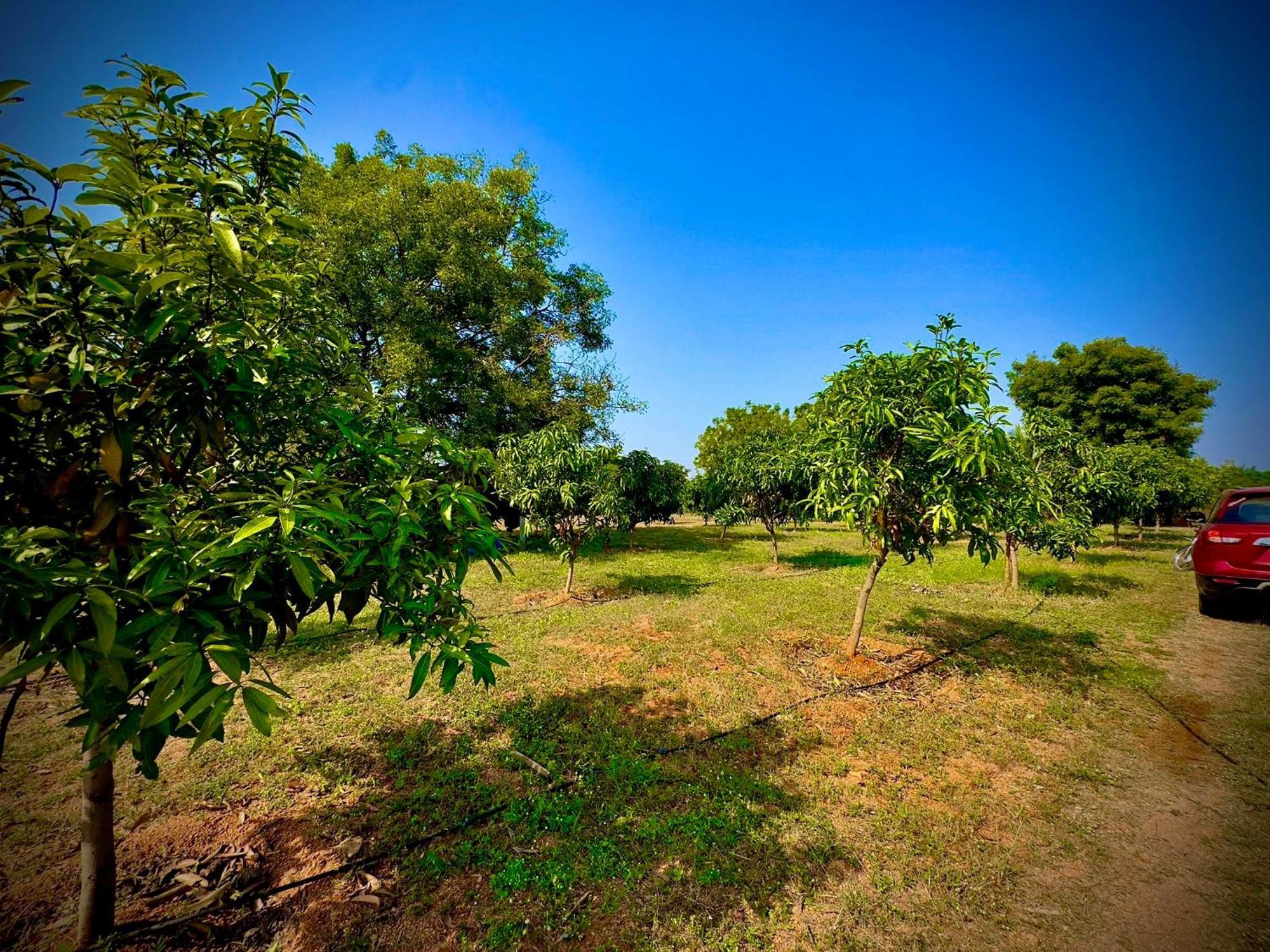 Mangohut Farmhouse Pool Villa Hyderabad Exterior foto