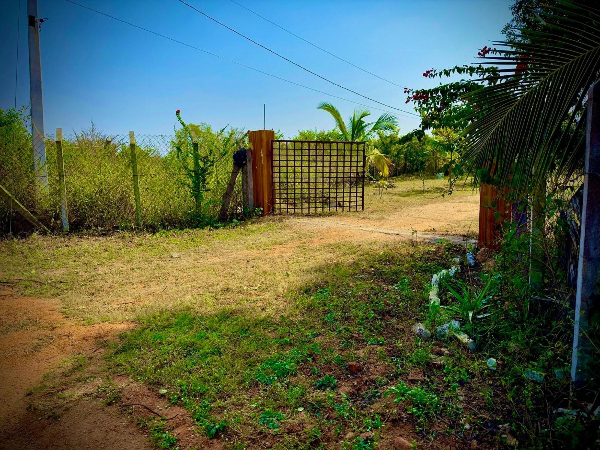 Mangohut Farmhouse Pool Villa Hyderabad Exterior foto