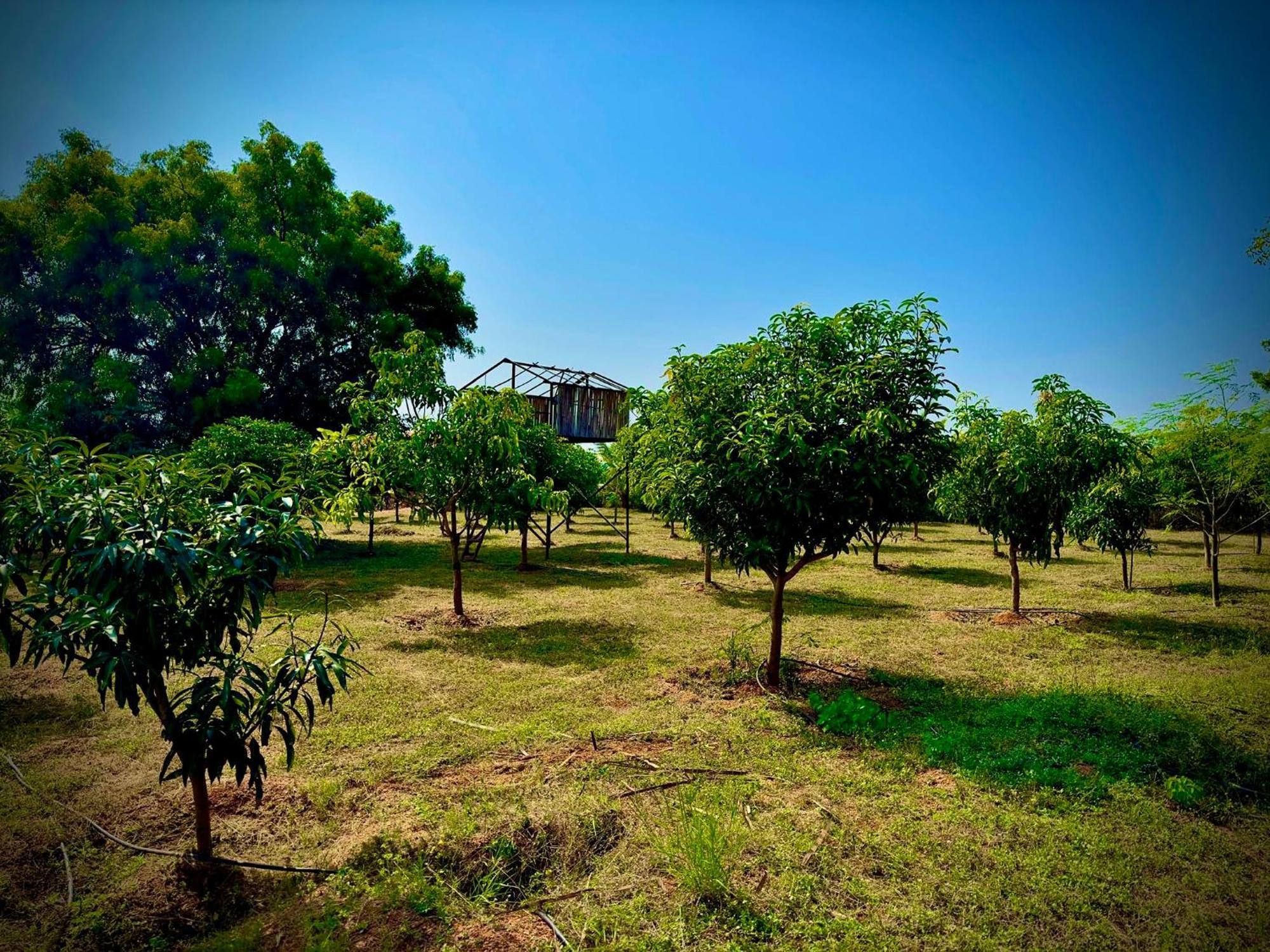 Mangohut Farmhouse Pool Villa Hyderabad Exterior foto